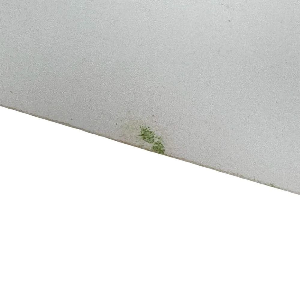Dreamland Motel Sylvania Georgia US Route 301 Unused 1950s Postcard Techno-Gloss